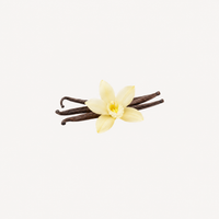 Vanilla