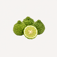 Bergamot