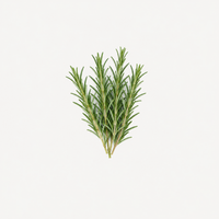 Rosemary