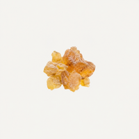 Fir Resin