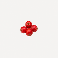 Red Berry
