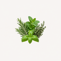 Herbal
