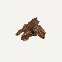 Indian Oud